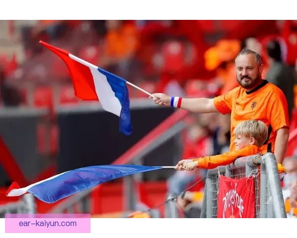 欧洲杯冠军欢庆游行：球迷齐聚街头，见证精彩历史时刻